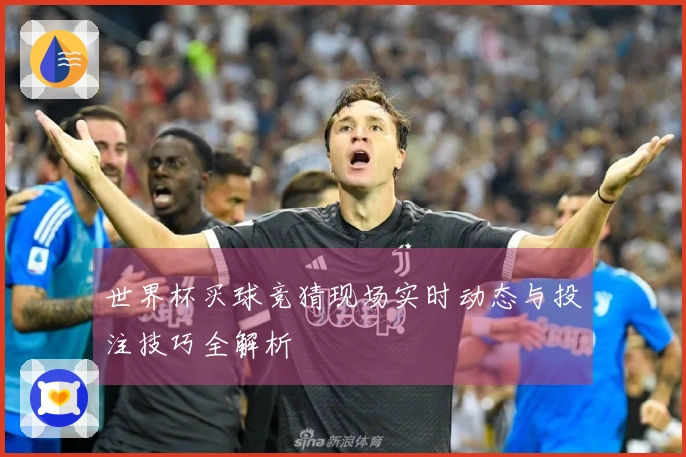 世界杯买球竞猜现场实时动态与投注技巧全解析