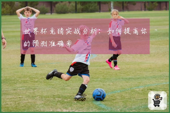 世界杯竞猜实战分析：如何提高你的预测准确率