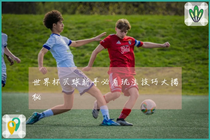 世界杯买球新手必看玩法技巧大揭秘