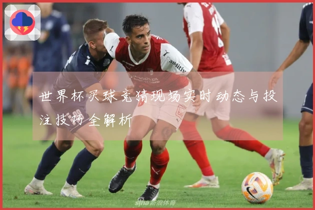 世界杯买球竞猜现场实时动态与投注技巧全解析