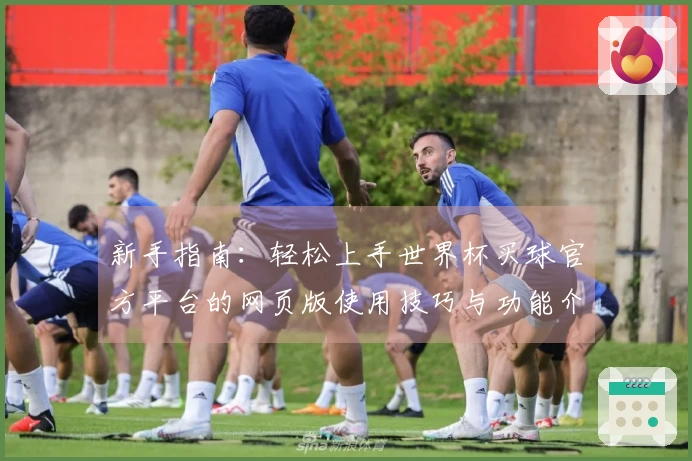 新手指南：轻松上手世界杯买球官方平台的网页版使用技巧与功能介绍