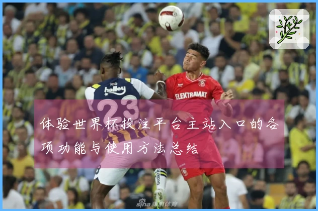 体验世界杯投注平台主站入口的各项功能与使用方法总结