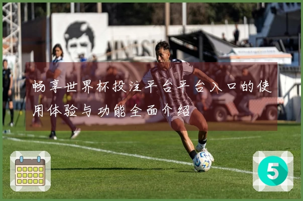 畅享世界杯投注平台平台入口的使用体验与功能全面介绍