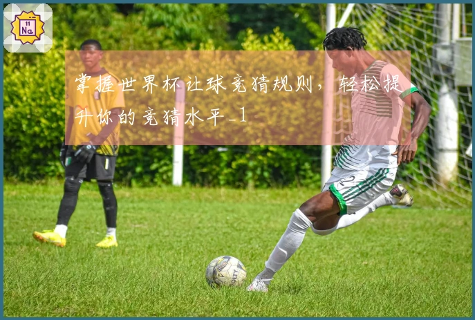 掌握世界杯让球竞猜规则，轻松提升你的竞猜水平_1