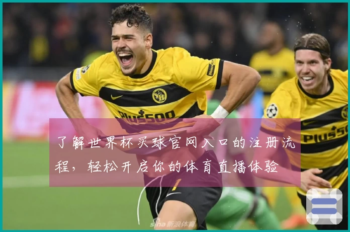 了解世界杯买球官网入口的注册流程，轻松开启你的体育直播体验