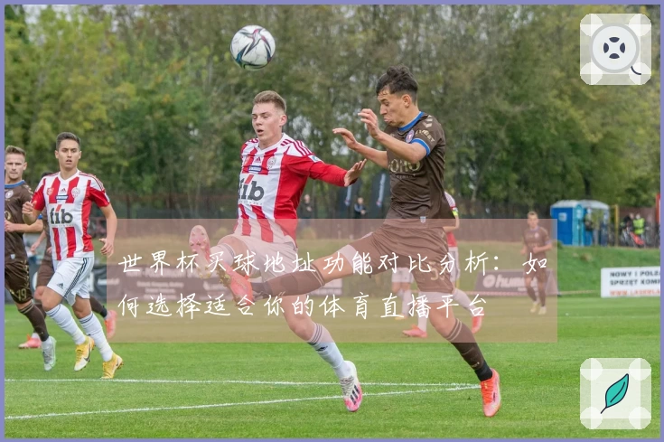 世界杯买球地址功能对比分析：如何选择适合你的体育直播平台